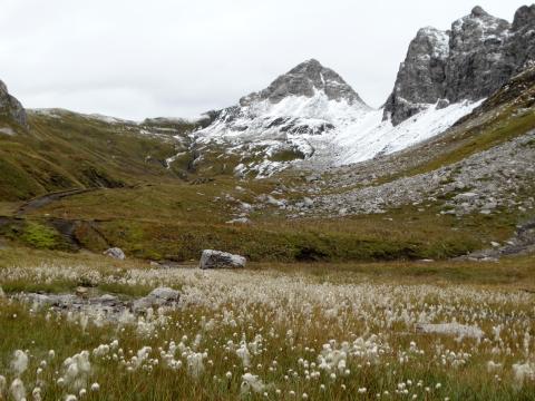 Bezaubernder Lechradweg - Entlang des rund 230 Kilometer langen Lechradwegs entfaltet sich einer der letzten Wildflüsse Europas in seiner vollen Pracht - (c) Carola Faber