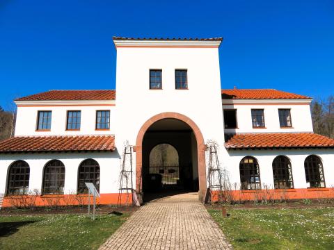 Ein Kelte wird zum Luxus bekehrt - die Antike an der Obermosel entdecken - (c) Stefanie Bisping