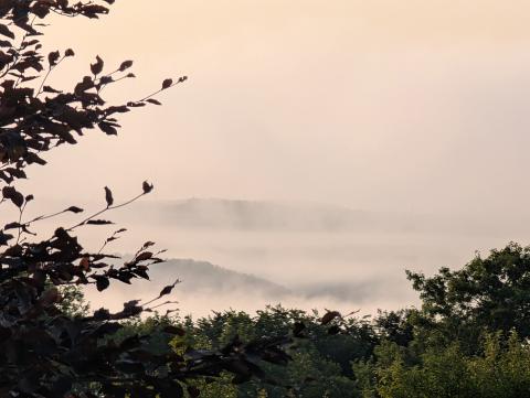 Zwischen See und Geschichte - Radeln, Genießen und Entdecken rund um den Bostalsee - (c) Carola Faber Zwischen See und Geschichte - Radeln, Genießen und Entdecken rund um den Bostalsee - (c) Carola Faber