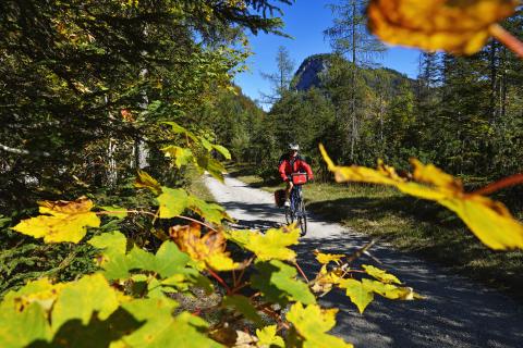 Indianersommer im Chiemgau - diese herbstliche Radtour lässt die Glückshormone schuhplatteln - (c) Norbert Eisele-Hein Indianersommer im Chiemgau - diese herbstliche Radtour lässt die Glückshormone schuhplatteln - (c) Norbert Eisele-Hein